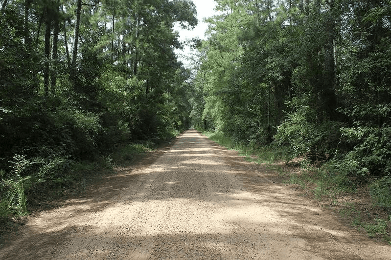 A long, dark dirt road surrounded by woods, known as Bragg Road.