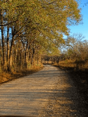 An eerie, dark road leading to a spooky cemetery.